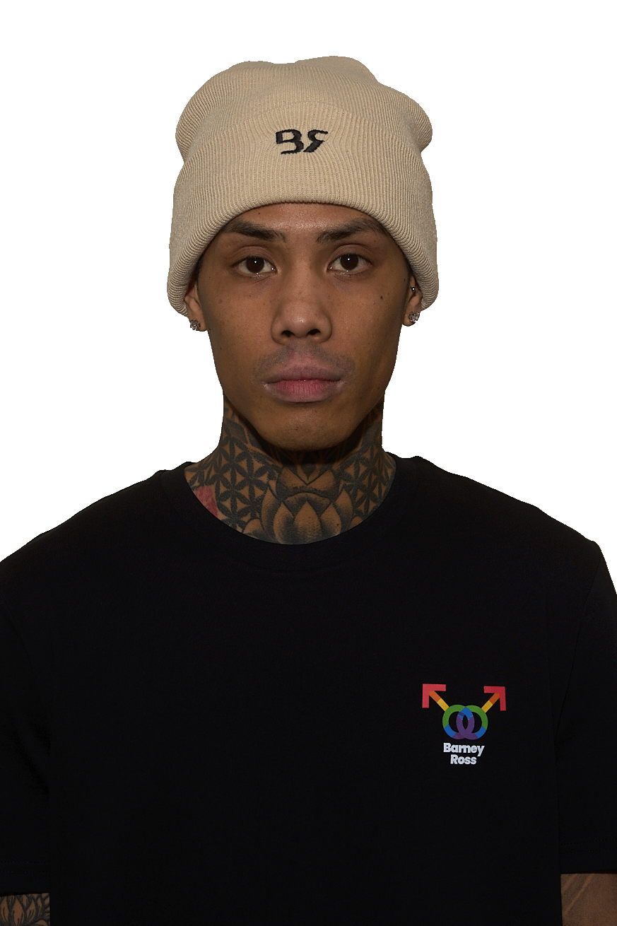 GORRO BR BEIGE LOGO (GORR0 LANA)