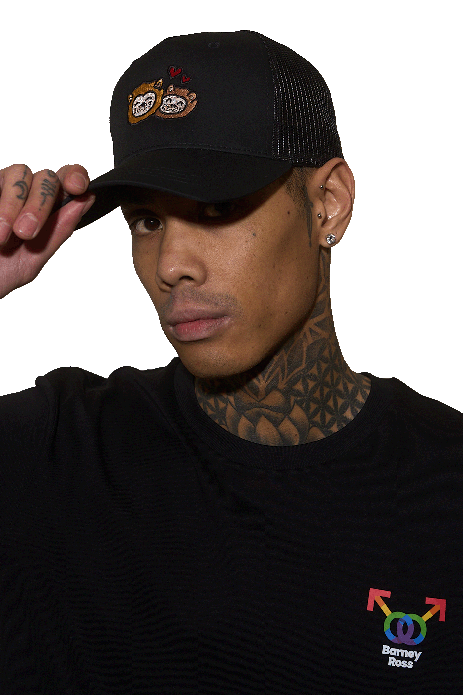 GORRA BR BLACK LIONS (Estilo clásico, comodidad moderna)